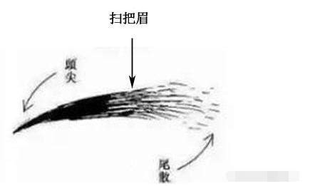 行眉運|從眉毛看一個人的健康、財運、個性、愛情…太準了！。